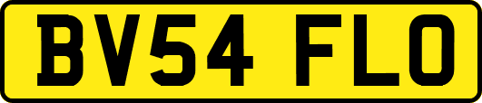 BV54FLO