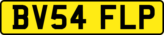 BV54FLP