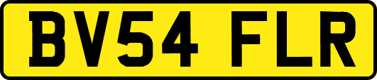 BV54FLR