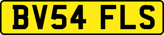 BV54FLS