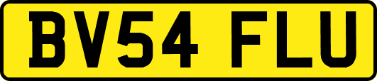 BV54FLU