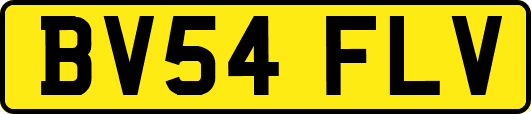 BV54FLV
