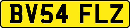 BV54FLZ