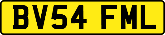 BV54FML