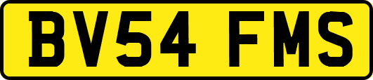 BV54FMS