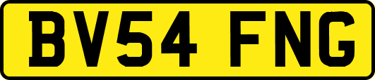 BV54FNG