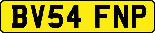 BV54FNP