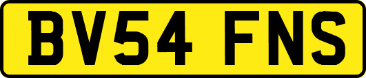 BV54FNS