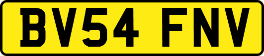 BV54FNV