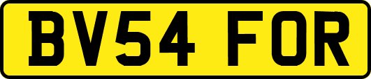 BV54FOR