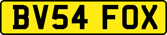 BV54FOX