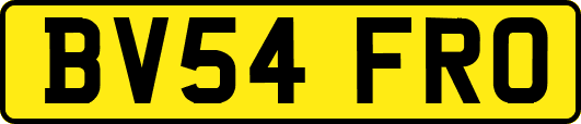 BV54FRO