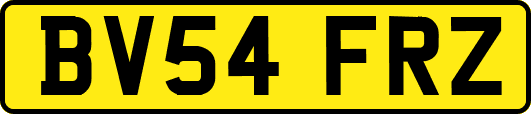 BV54FRZ