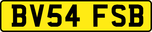 BV54FSB