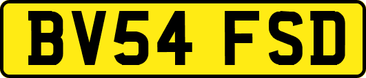 BV54FSD