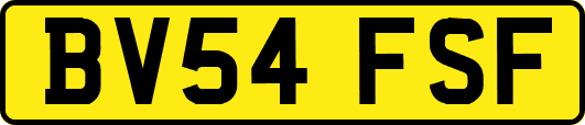 BV54FSF