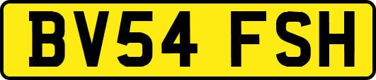BV54FSH