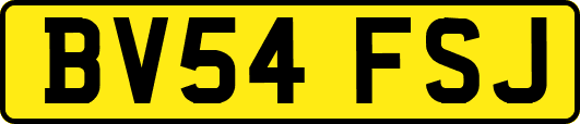 BV54FSJ