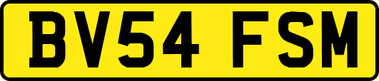 BV54FSM