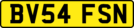 BV54FSN