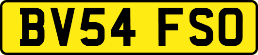 BV54FSO