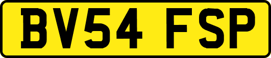 BV54FSP