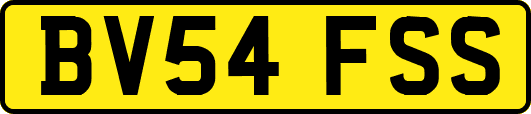 BV54FSS