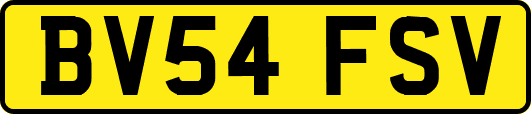 BV54FSV