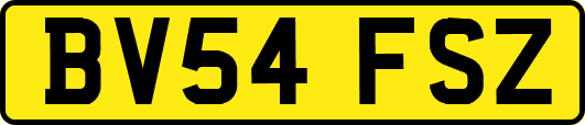BV54FSZ