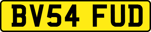 BV54FUD
