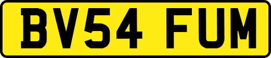 BV54FUM