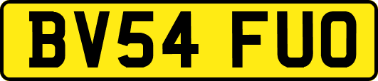 BV54FUO