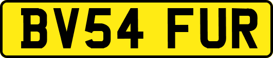 BV54FUR