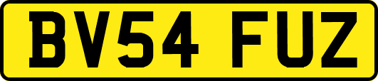 BV54FUZ