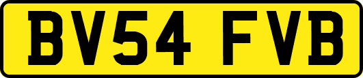 BV54FVB