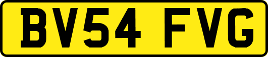 BV54FVG