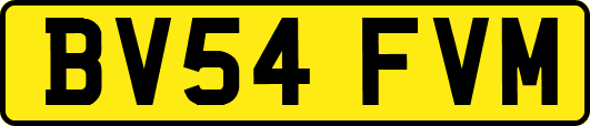 BV54FVM