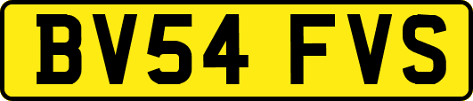 BV54FVS
