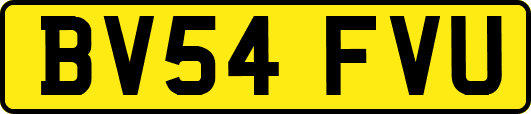BV54FVU
