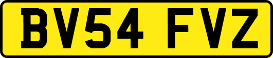 BV54FVZ