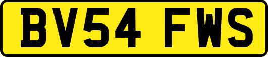 BV54FWS