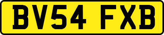 BV54FXB