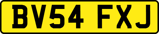 BV54FXJ