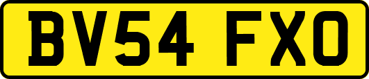 BV54FXO