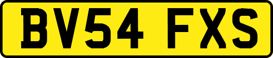BV54FXS
