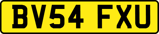 BV54FXU