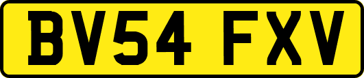 BV54FXV