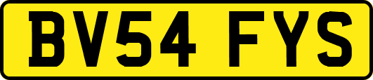 BV54FYS