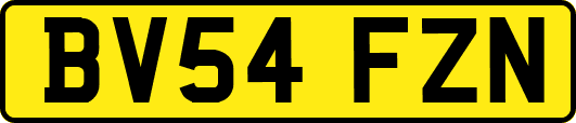 BV54FZN