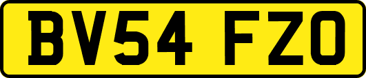 BV54FZO